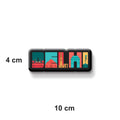Decorative 'DELHI' fridge magnet with colorful illustrations on a refrigerator