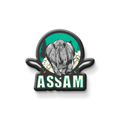 Magnet with a rhinoceros design and 'Assam' text on a white background