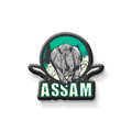 Nivaraprint Souvenir Wooden Fridge Magnet | Assam